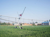 Moving Lateral Irrigation Machines
